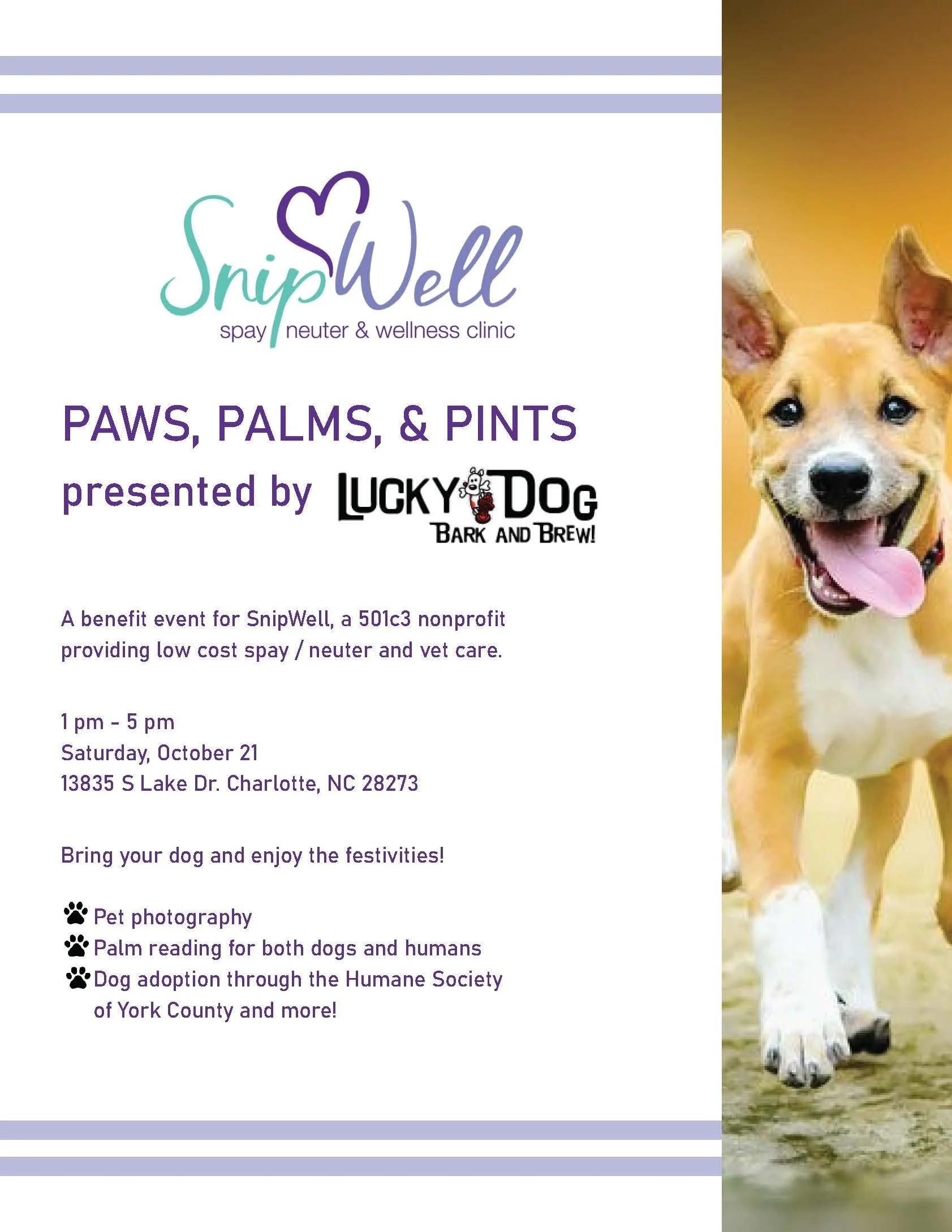 Palms n 2024 paws animal shelter